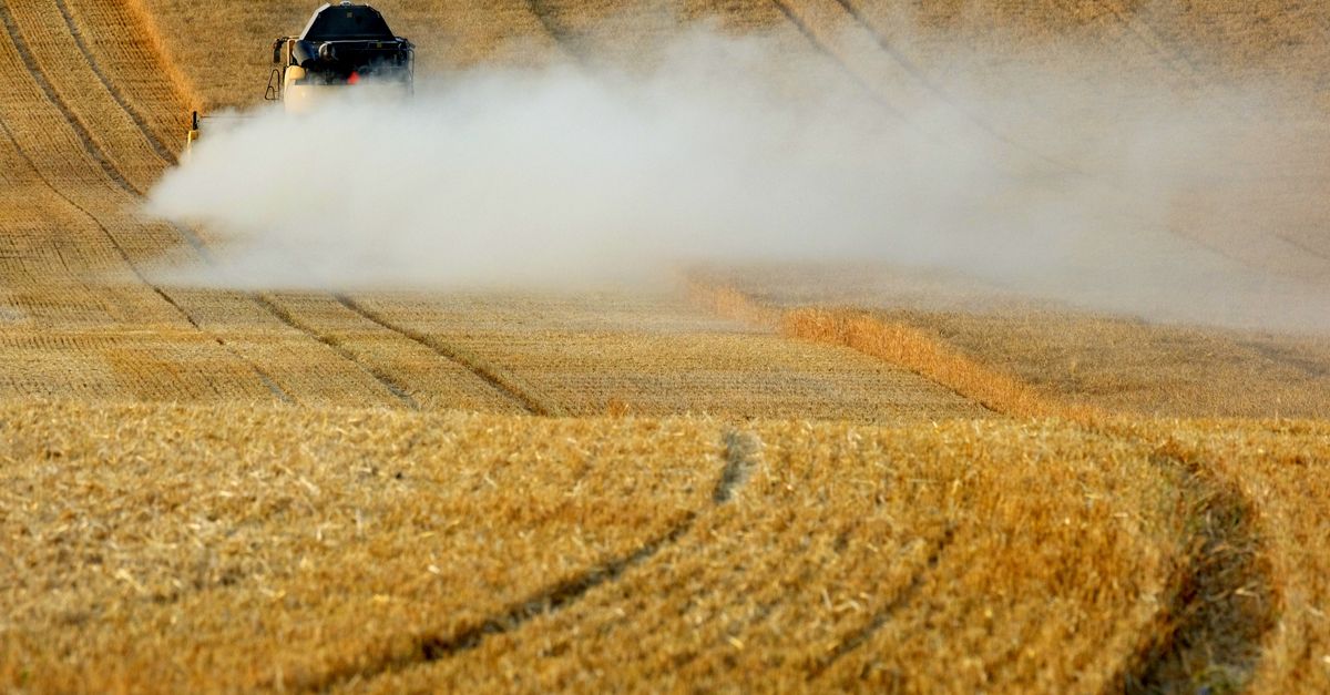 Gestão agrícola da lavoura: o guia completo — Inova Agro