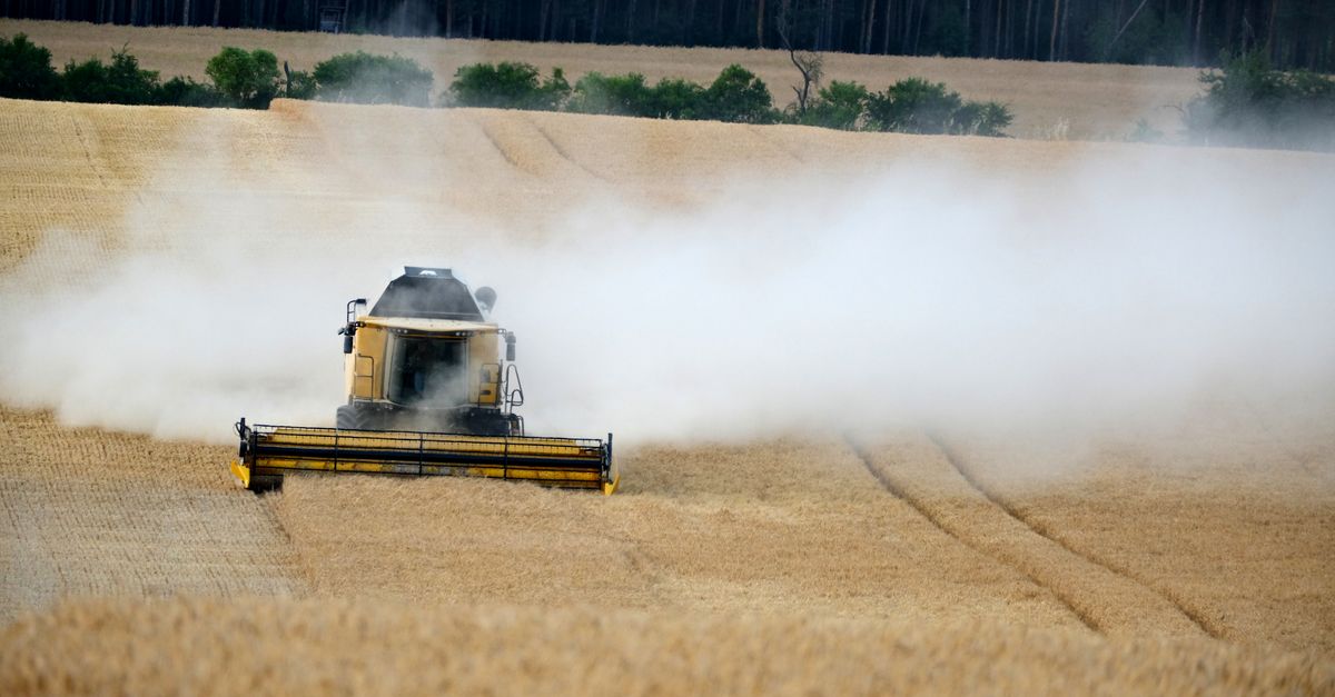 Controle de combustível da colheitadeira na fazenda — Inova Agro
