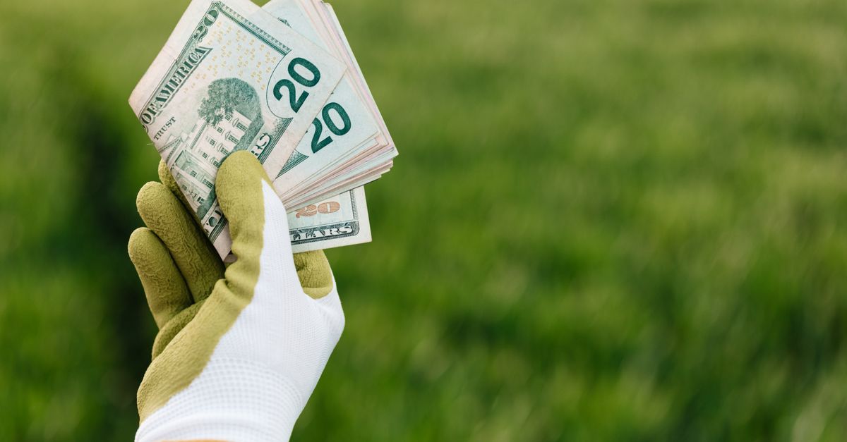 Seguro rural: como funciona e vale a pena? — Inova Agro