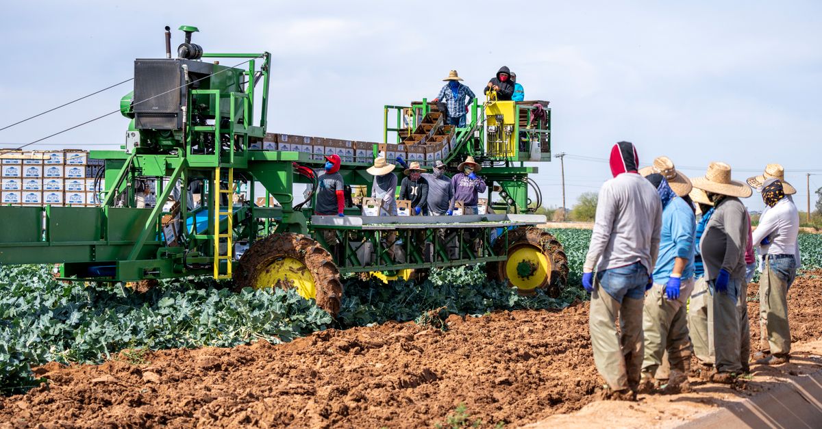 Como medir a produtividade da equipe rural — Inova Agro