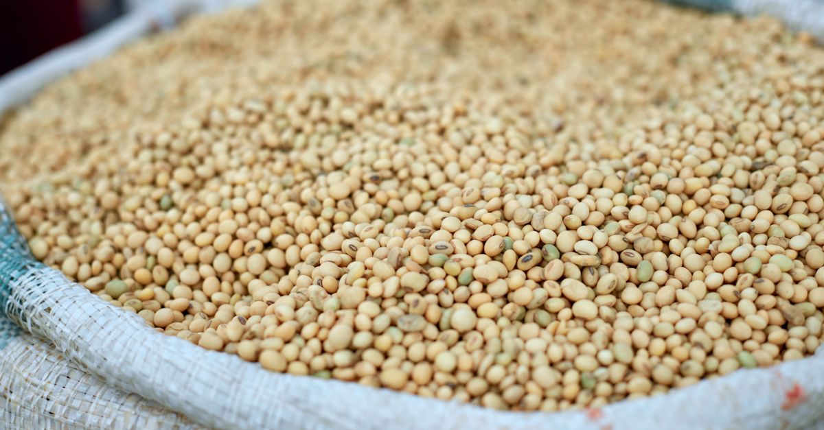 Como evitar perdas de inoculante e adjuvantes no estoque — Inova Agro