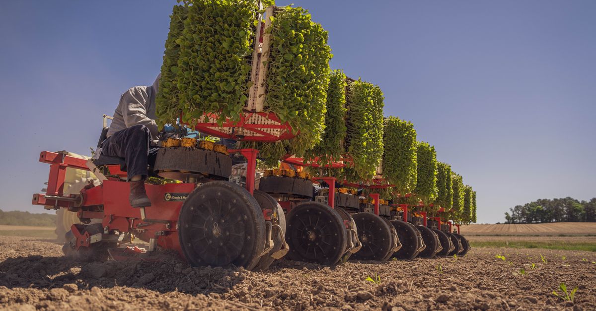 Controle de combustível da plantadeira na fazenda — Inova Agro