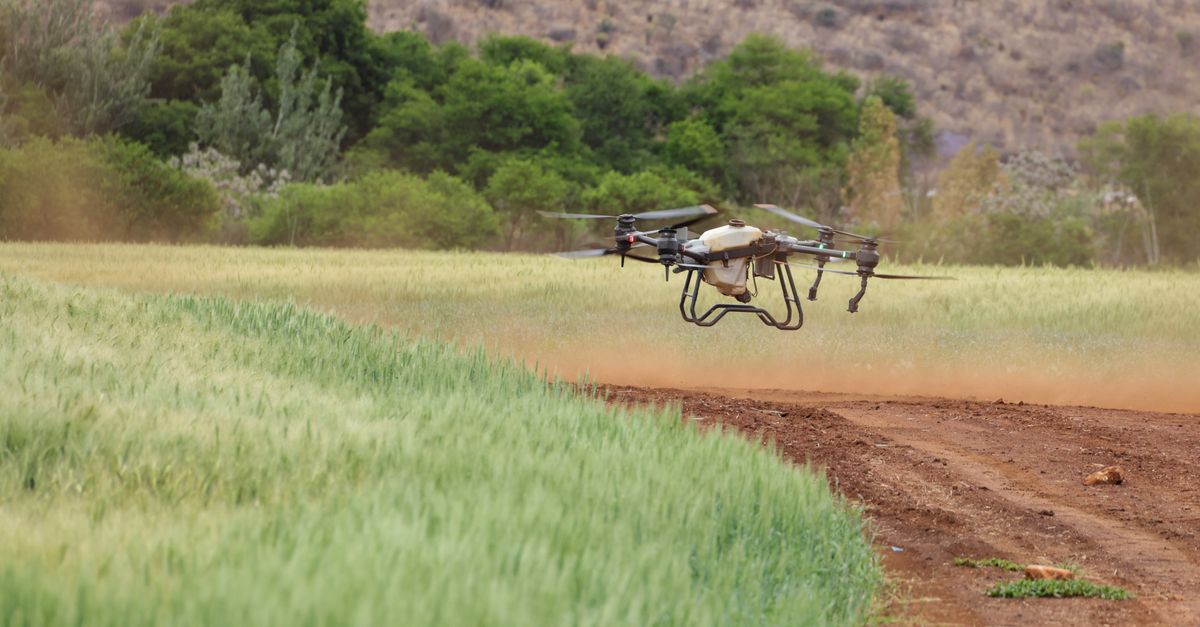 Drones e sensoriamento no agro: para que servem — Inova Agro