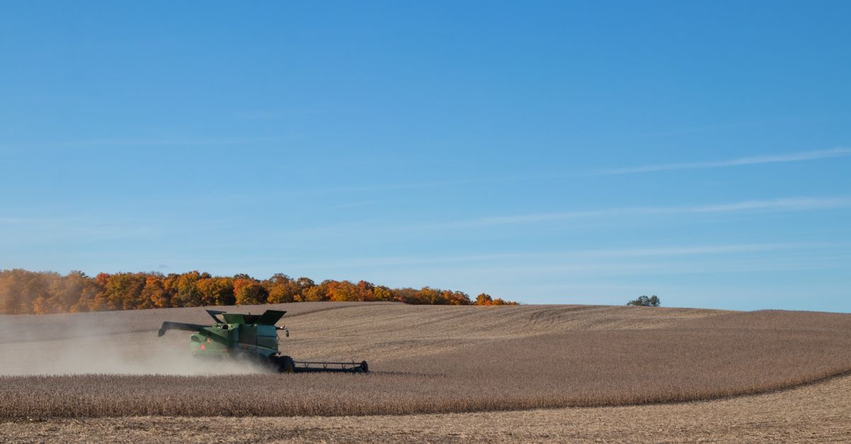 Como calcular o custo de produção da soja — Inova Agro